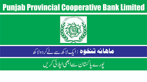 Punjab Provincial Cooperative Bank Jobs 2024